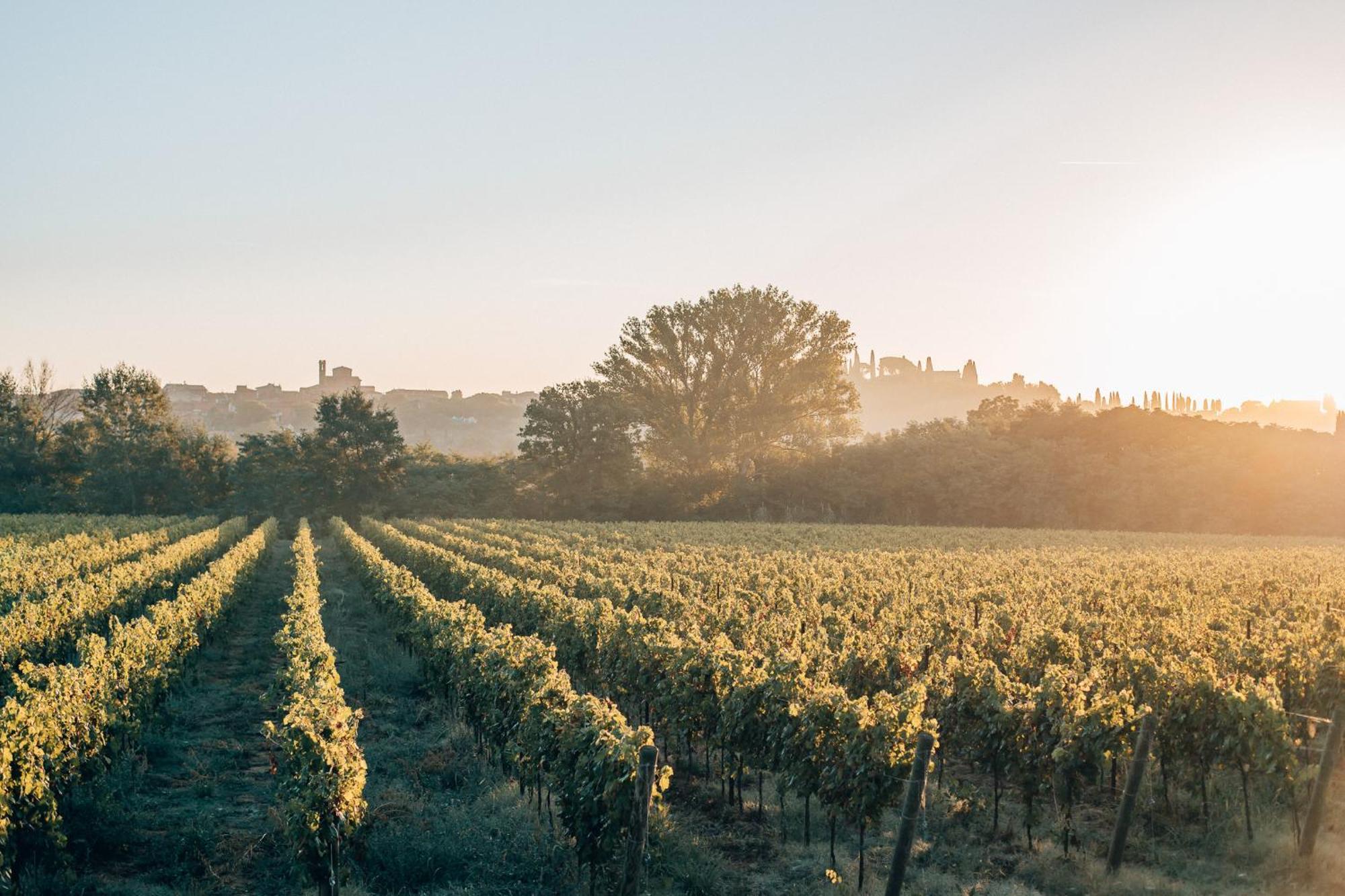 Borgo San Vincenzo Hotel Montepulciano Stazione Kültér fotó